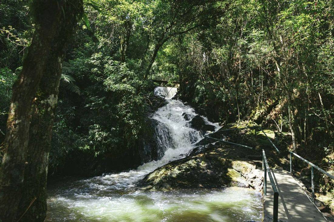 Cachoeira e passarela na trilha da vinícola